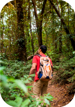 Persona caminando en bosque durante actividad de integración y conexión con el equipo