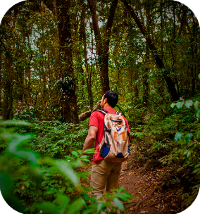 Actividad de caminata ecológica en equipo para conexión y bienestar organizacional